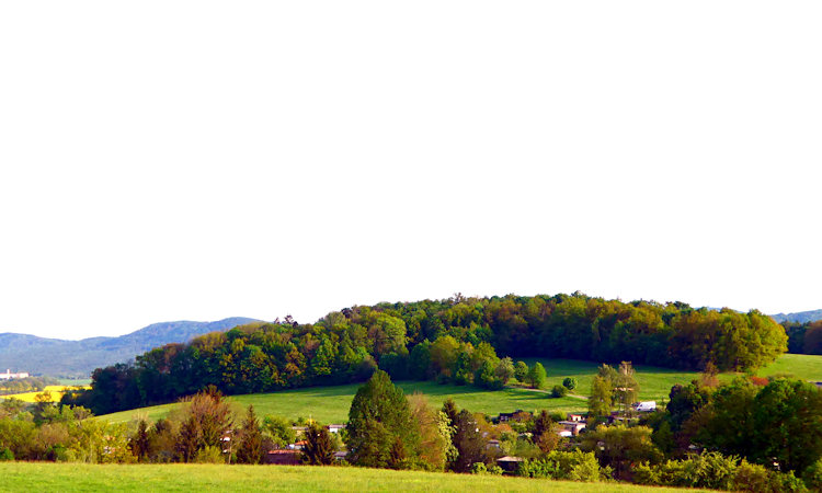 Pohled na vrch Koitsche ze Scheibebergu.