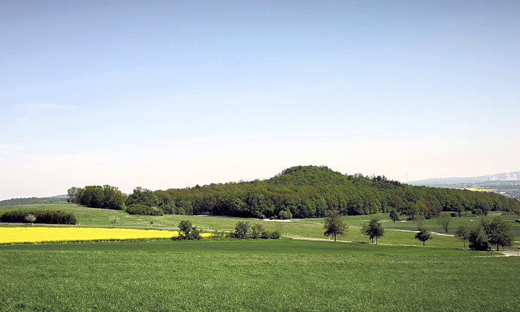 Pohled na Seidelsberg ze Steinbergu.