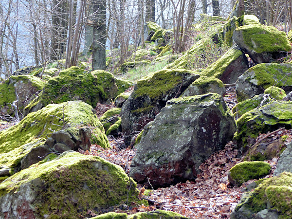 Výšina posetá množstvím kamení na Steinbergu.
